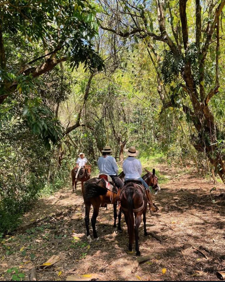 Caballos de Viaje a Caballo